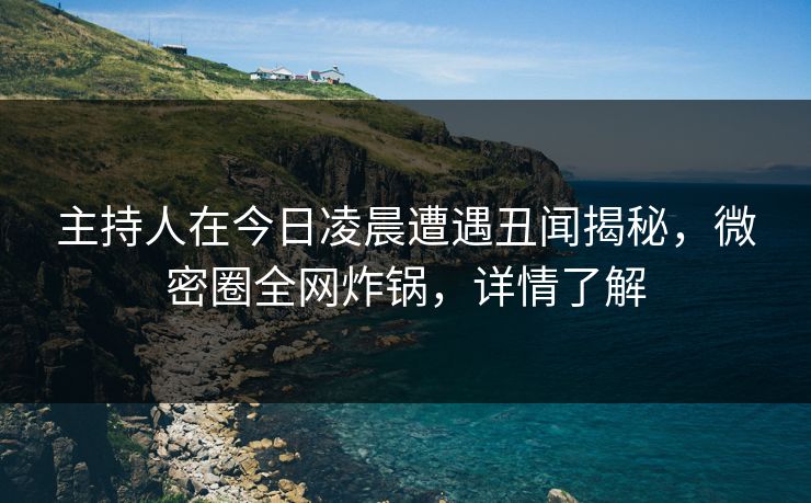 主持人在今日凌晨遭遇丑闻揭秘，微密圈全网炸锅，详情了解