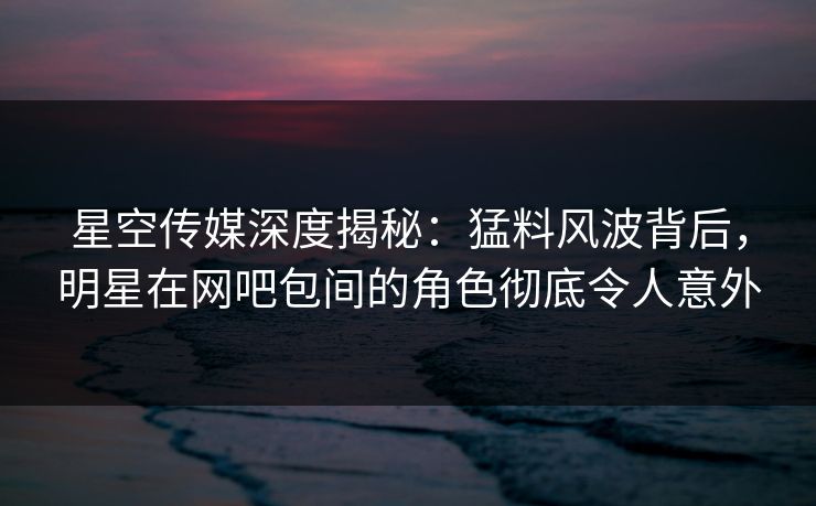 星空传媒深度揭秘：猛料风波背后，明星在网吧包间的角色彻底令人意外