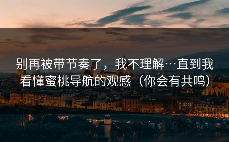 别再被带节奏了，我不理解…直到我看懂蜜桃导航的观感（你会有共鸣）