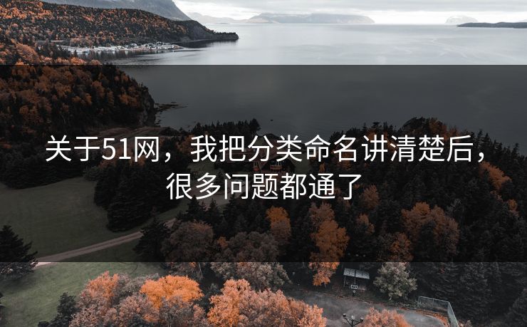 关于51网，我把分类命名讲清楚后，很多问题都通了